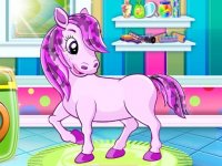 Pony Care and Style Adventure