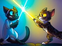Cat Points Arena