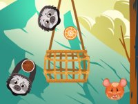 Sling Shot Basket Puzzle