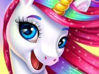 Coco Pony Pet Care Adventure