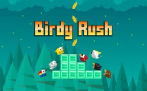 Birdy Rush - Vertical Climb Adventure