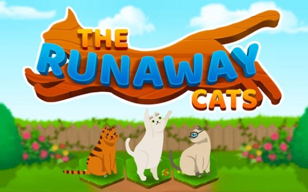 Feline Path Puzzle