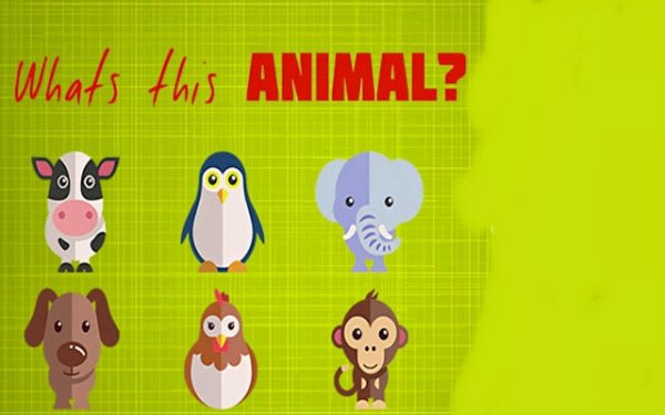 Animal Word Builder for Young Children