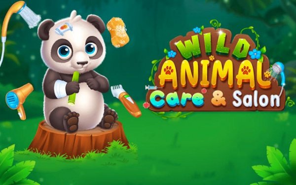 Animal Shelter Care Puzzles