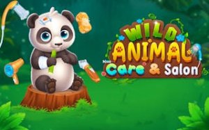 Animal Shelter Care Puzzles