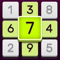 Number Logic Sudoku Challenge