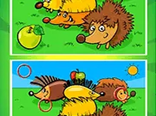 Animals Differences Online Puzzle Game